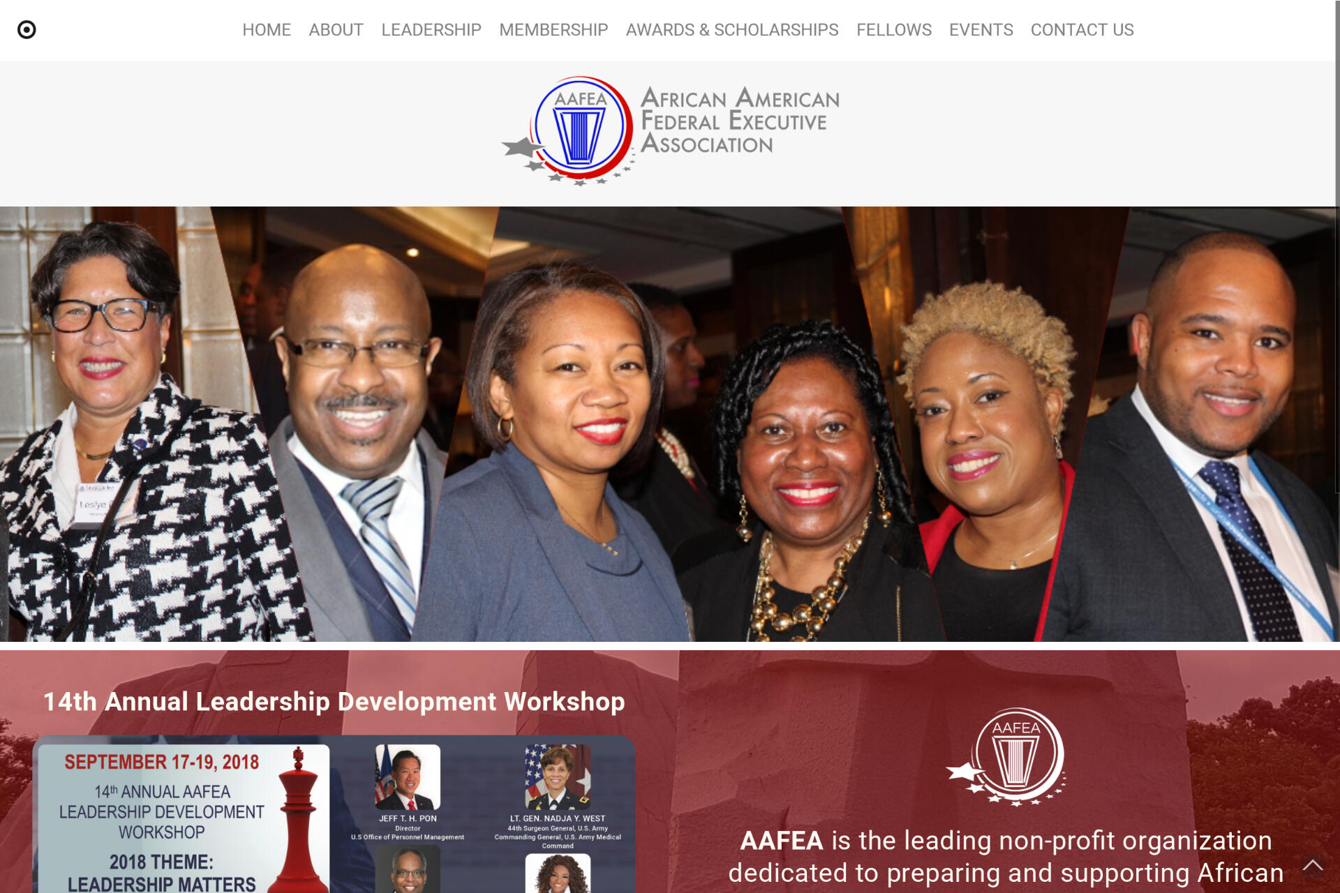 AAFEA, Inc. - Gov't Agency